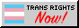 a button that says 'Trans Rights Now' with a transgender flag.